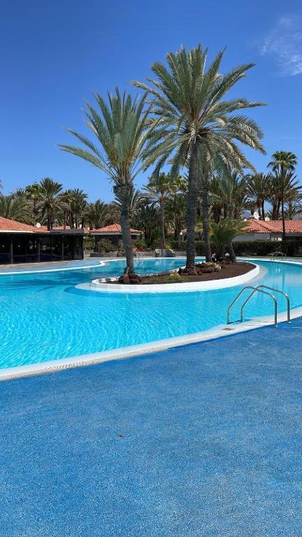 Sun Club Luxus Bungalow Projecto 65 Maspalomas  Bagian luar foto
