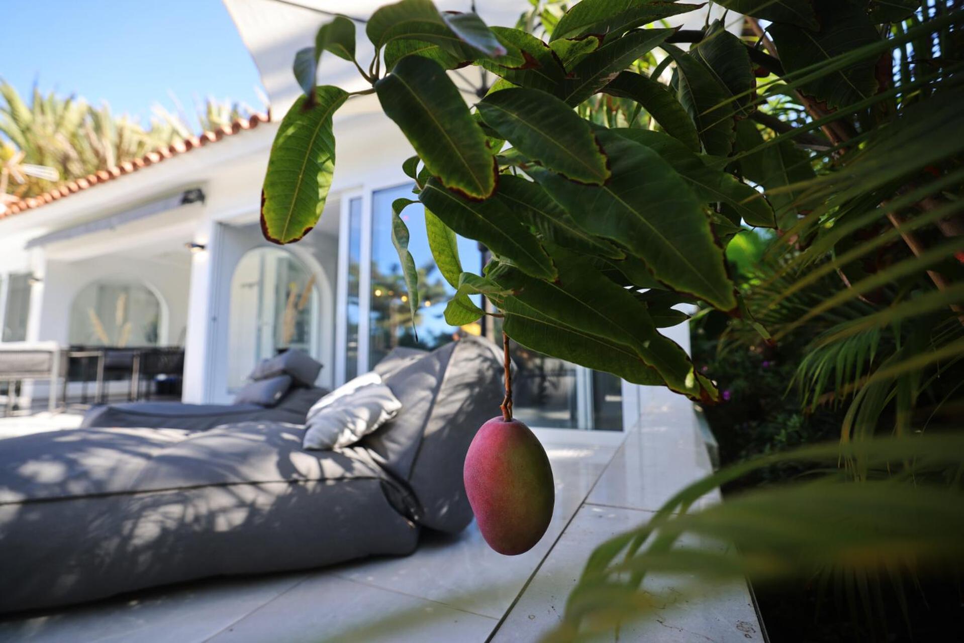 Sun Club Luxus Bungalow Projecto 65 Maspalomas  Bagian luar foto